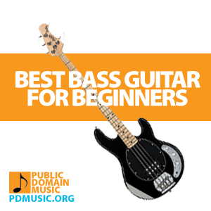 best-bass-guitar-for-beginners