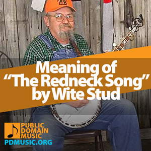 the-redneck-song-by-wite-stud-meaning